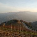 Prisiminimai ir pilnos emocijos: Italijos Asti regiono trumai, vynų ir ...alų rūšys