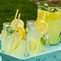 Kai norisi gaivumo: tobulo naminio limonado receptas