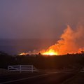 Ar gaisras Havajuose plito net per šaligatvį?