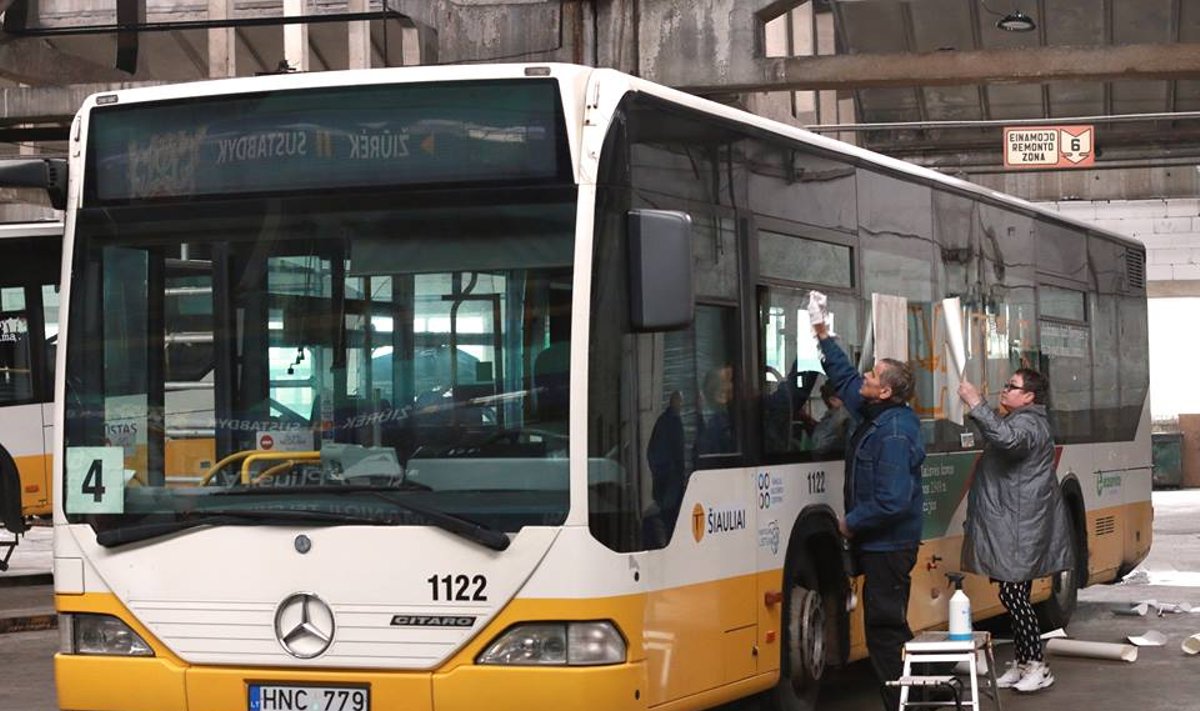 Šiauliečius po miestą vežios unikaliai papuošti autobusai. Emilio Jucio nuotr.