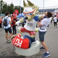 В Петербурге украли фигуру волка Забиваки – символа ЧМ по футболу