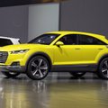 „Audi“ sukryžmino TT kupė sportiškumą su visureigių pravažumu