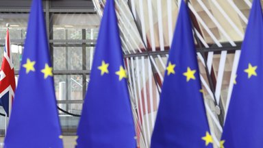 ES šalių prezidentai kviečia atsakingai balsuoti Europos Parlamento rinkimuose