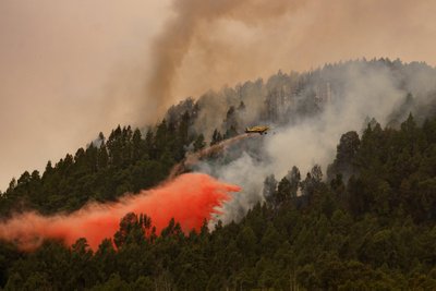 Gaisrai Tenerifėje