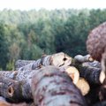 Miškų savininkai kyla į kovą: grasina užstatyti gatves miškovežiais, mėnesį nebetiekti medienos