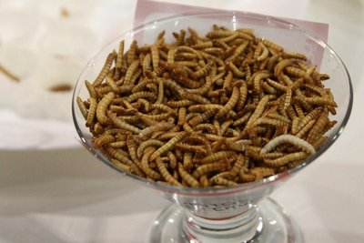 Valgomi vabzdžiai „AgroBalt“ parodoje