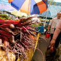 Pigiausia lietuviška daržovė – vaistas nuo daugelį kankinančios bėdos