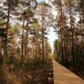 Laikui gamtoje – TOP 5 gražiausi pažintiniai takai Lietuvoje