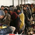 Europa „prisižaidė“ su nelegalia migracija? Ekspertai paaiškino, su kokiais iššūkiais susiduria Senasis žemynas