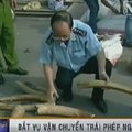 Vietnamo muitininkai konfiskavo daugiau nei dvi tonas dramblio ilčių