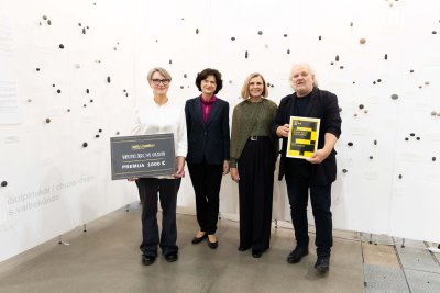 Lankytojų simpatijos šiais metais atiteko vieno menininko – Sauliaus Vaitiekūno galerijai „Terra recognita“
