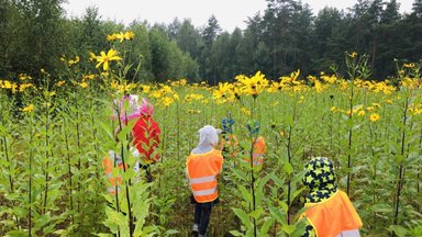 Mokyklas ragina sekti Estijos ar Islandijos pavyzdžiu: rudens pradžioje mokykitės gamtoje