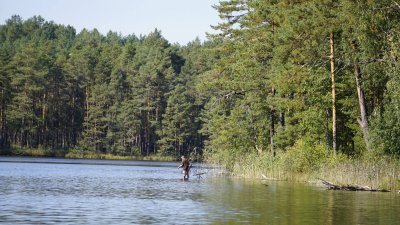 Varžybų „Gintarinis Karpis 2018“ akimirka