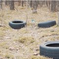 За оставленный в лесах мусор в Литве предлагают ввести конфискацию автомобилей