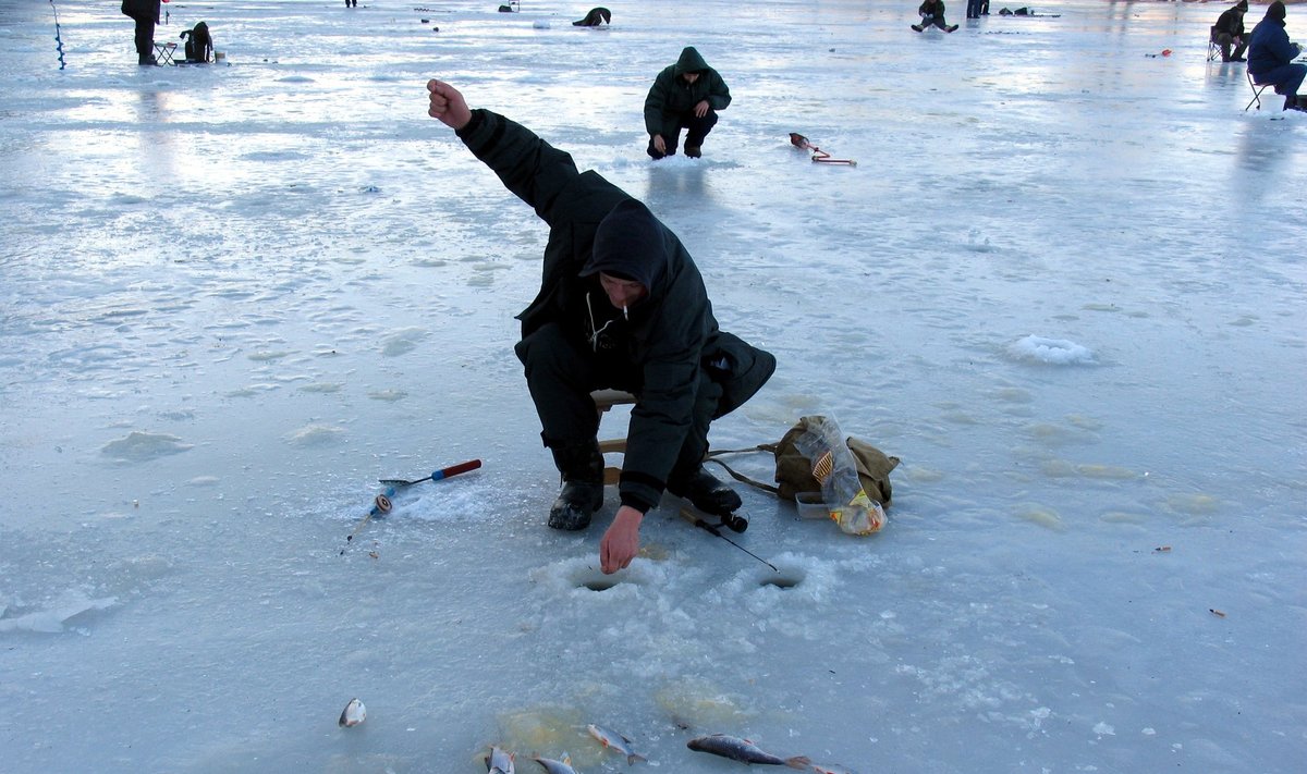 Mingės žvejai