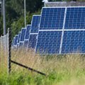 Lietuvoje fiksuota rekordinė saulės elektrinių gamyba, o sekmadienį – neigiamos elektros kainos