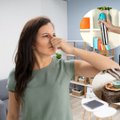Jūsų namuose tvyro nemalonus kvapas? Priežastys, kodėl taip yra, ir priemonės, kaip jį pakeisti