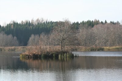 Angrių užtv. sala