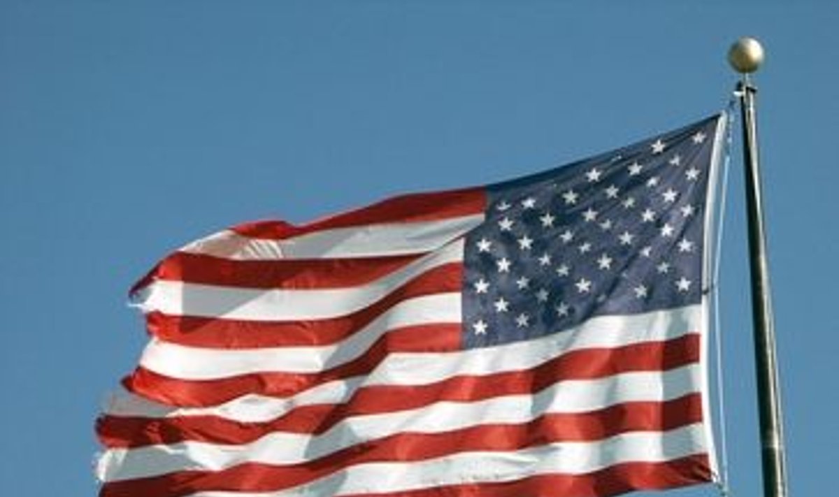 JAV vėliava