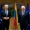 Глава минобороны Литвы: НАТО будет реагировать на изменение ситуации в регионе, направляя новые силы