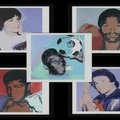 Los Andžele pavogta milijonų dolerių vertės A.Warholo paveikslų kolekcija