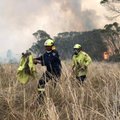 Australijoje stiprėjant kaitrai baiminamasi naujos gaisrų bangos
