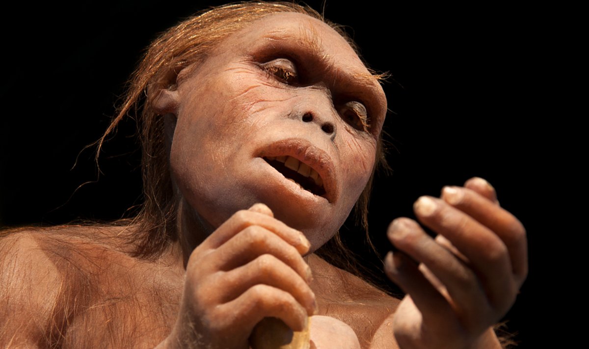 Žmonių protėviai prieš 1,5 mln. metų skerdė ir ėdė vienas kitą. 