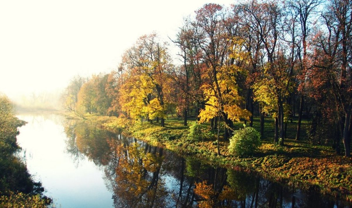 Kuršėnų parkas ir upė Venta - geriausia konkurso nuotrauka