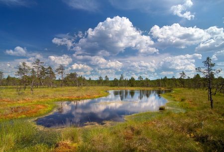 Estija - tūkstančio pelkių karalystė