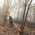 Černobylio zonoje nepavyksta numalšinti gaisrų, vietoje dirba dirba 1 400 ugniagesių