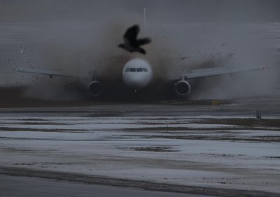 Vilniaus oro uoste nuo tako nuslydo keleivinis lėktuvas.