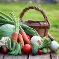 Patikrino tūkstantį lietuviškų daržovių – kokie rezultatai