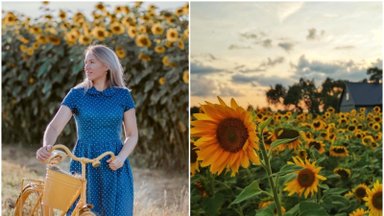 Kelionės Ukrainoje metu Elžbieta įsimylėjo saulėgrąžas: jau trečius metus jos sodyboje driekiasi geltoni laukai