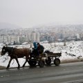 Ruošdamasi pirmininkavimui ES Sofija uždraus arklių traukiamus vežimus