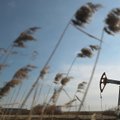 ES dega žalią šviesą rusiškos naftos kainų luboms