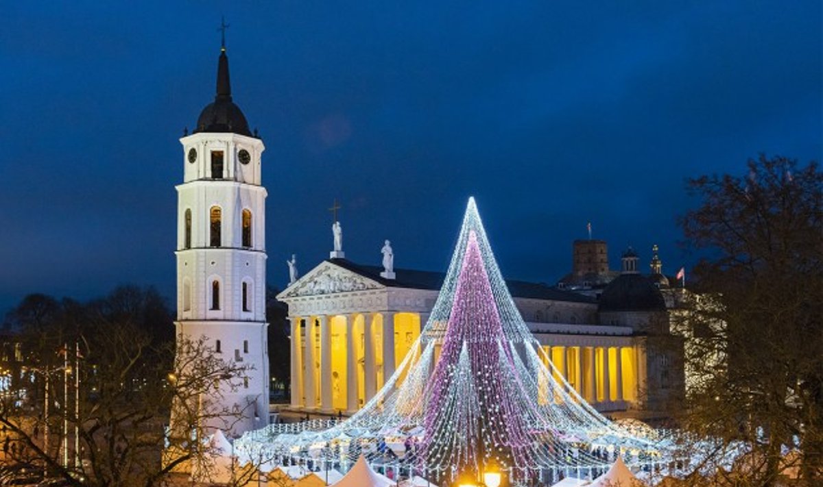 One of Europe's most beautiful Christmas trees, right here in Vilnius  Photo © Ludo Segers @ The Lithuania Tribune