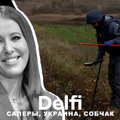Эфир Delfi: как разминировать Украину и побег израильтянки Собчак из России