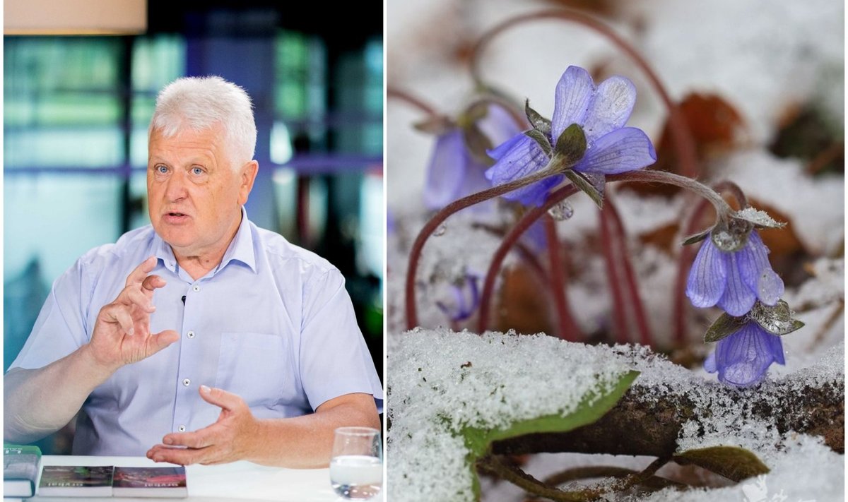 Pavasaris DELFI montažas