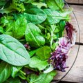 Savaitgalio iškylai – gaivios salotos su jautiena