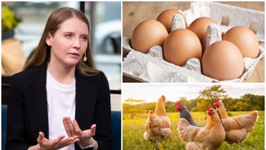 Ką rodo ant kiaušinių esantys skaičiai ir kodėl pažymėtų 3 reikėtų vengti?