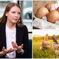 Ką rodo ant kiaušinių esantys skaičiai ir kodėl pažymėtų 3 reikėtų vengti?