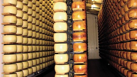 Parmezano sūriai