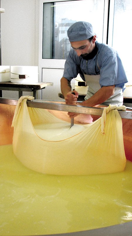 Į sūrmaišius sudėta masė keliauja į vonias. Iš viename sūrmaišyje esančios masės išeis du sūriai