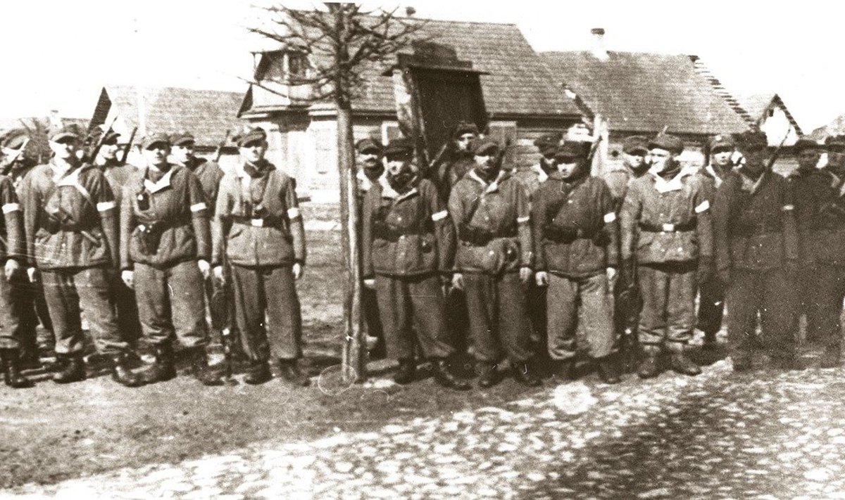 Lietuvių ir lenkų partizanų veikla 