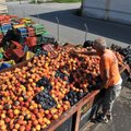 Rusijai skirti vaisiai pūva tiesiog mašinose
