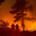 Baksnoja į dviejų metų senumo įrašą, tvirtindami, kad Kalifornijoje miško gaisrai kyla tyčia
