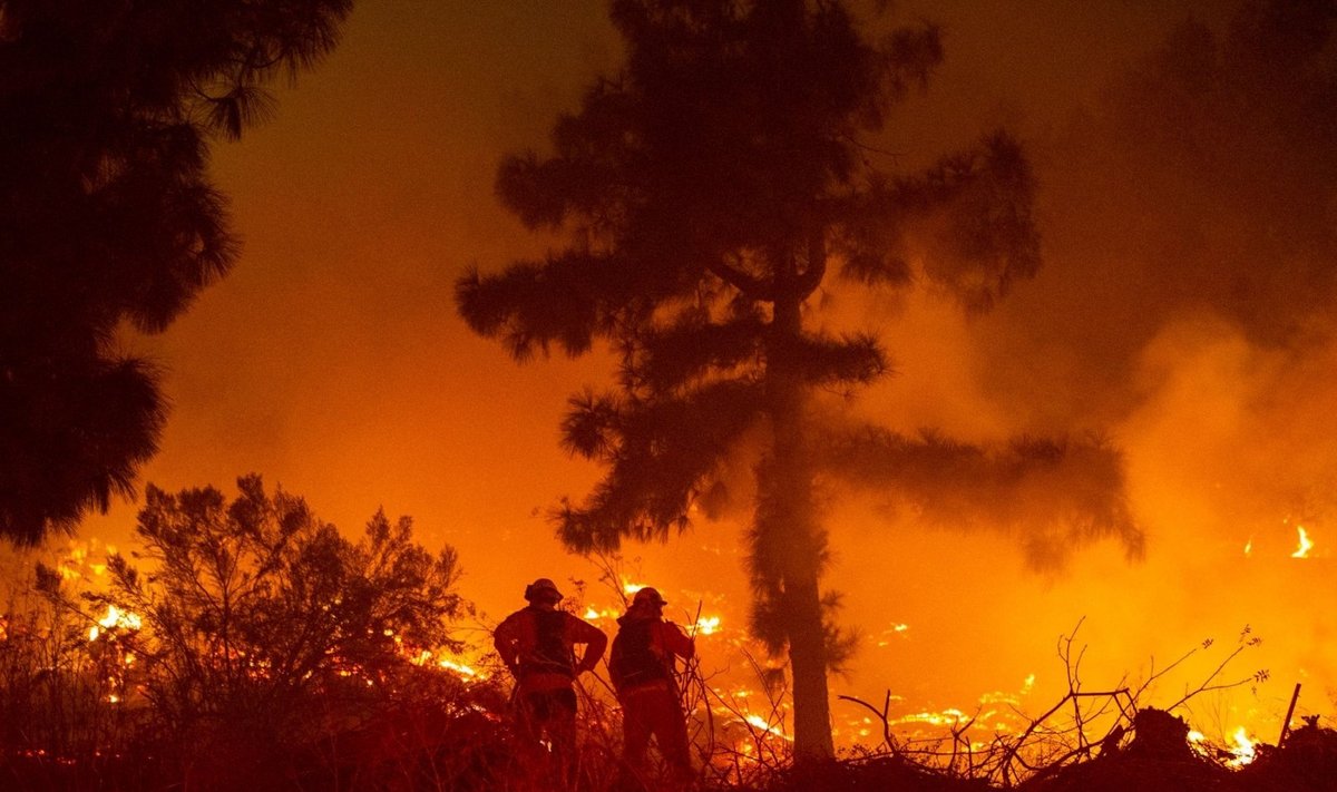 Miškų gaisrai Kalifornijoje