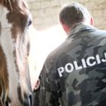 Po Vilnių vaikštinėjusį arklį sučiupo policijos patruliai
