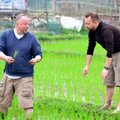 Vietname ryžius sodinę M. Starkus ir V. Radzevičius: vietinėms senutėms mūsų darbo stilius patiko – juokėsi iki ašarų