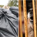 Prieglaudai įteikė protu nesuvokiamą „dovaną“: maiše – trys šunys nudirtu kailiu